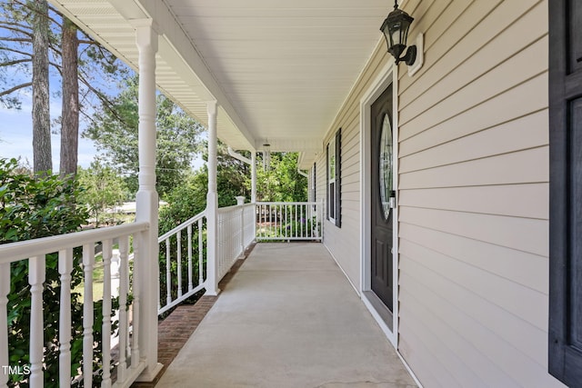3109 Gold Dust Ln, Willow Springs, NC 27592 - view of covered porch