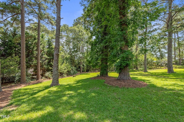 3109 Gold Dust Ln, Willow Springs, NC 27592 - view of green lawn