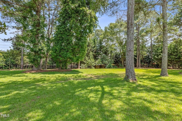 3109 Gold Dust Ln, Willow Springs, NC 27592 - view of grassy yard