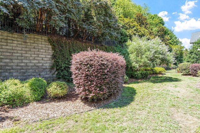 1413 Lily Creek Dr, Cary, NC 27518 - view of yard