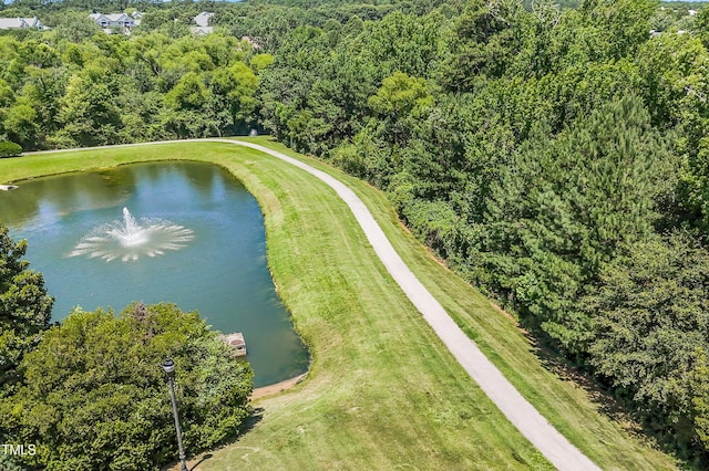 1413 Lily Creek Dr, Cary, NC 27518 - bird's eye view of a large body of water