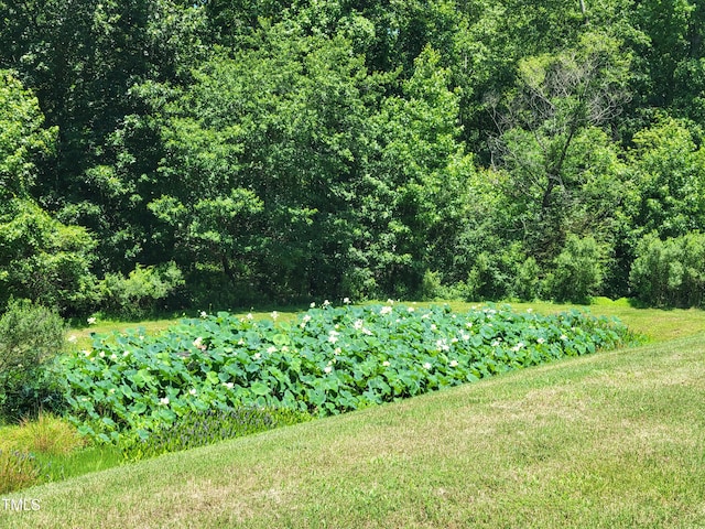 1413 Lily Creek Dr, Cary, NC 27518 - view of grassy yard