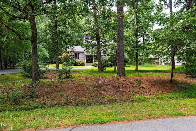 206 Lisa Dr, Carrboro, NC 27510 - view of yard