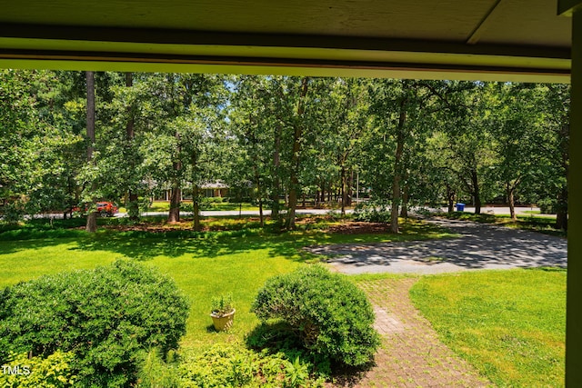 206 Lisa Dr, Carrboro, NC 27510 - view of property's community with a yard and view of wooded area