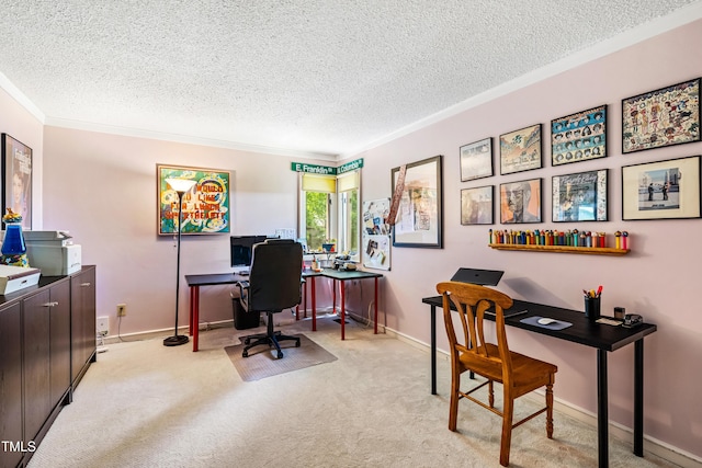 206 Lisa Dr, Carrboro, NC 27510 - office space featuring crown molding, a textured ceiling, and light colored carpet
