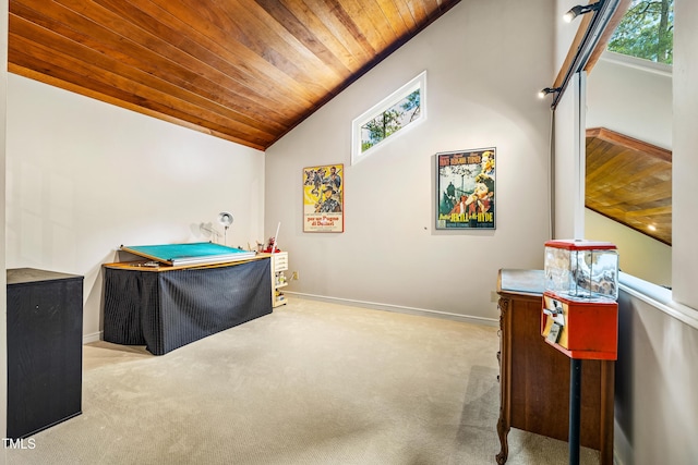 206 Lisa Dr, Carrboro, NC 27510 - miscellaneous room featuring wood ceiling, vaulted ceiling, and carpet flooring