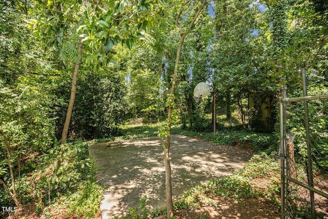 619 Ashe Ave, Cary, NC 27511 - view of nature