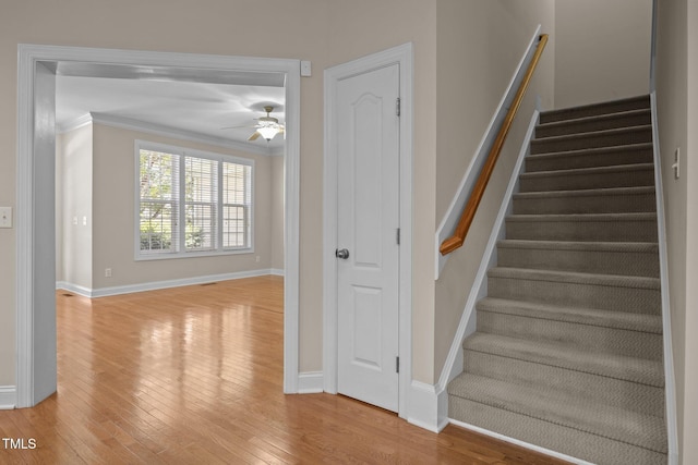 1012 Palace Garden Way, Raleigh, NC 27603 - staircase with wood finished floors, crown molding, and ceiling fan