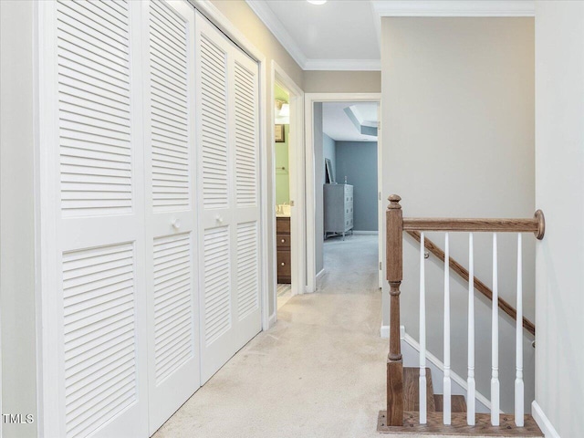 215 Brier Summit Pl, Durham, NC 27703 - corridor featuring light carpet, an upstairs landing, and ornamental molding