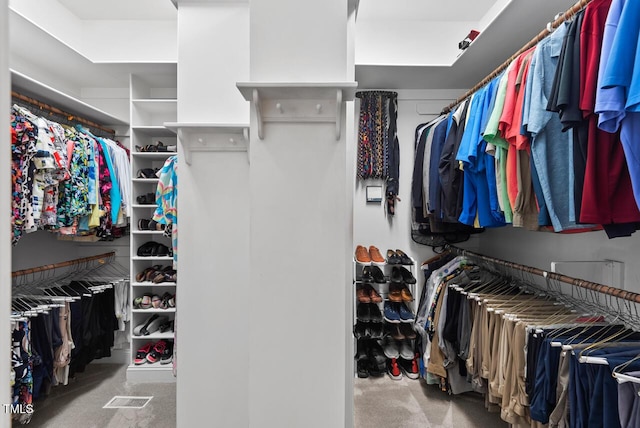 3606 Dairy Pond Pl, Durham, NC 27705 - view of spacious closet