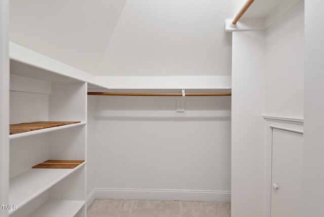3606 Dairy Pond Pl, Durham, NC 27705 - walk in closet featuring carpet floors