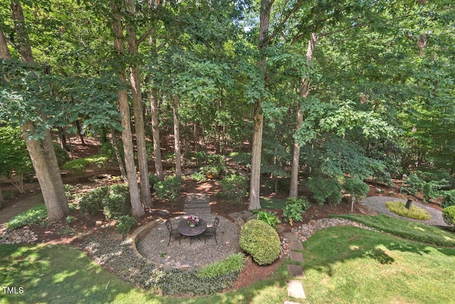 3606 Dairy Pond Pl, Durham, NC 27705 - view of yard