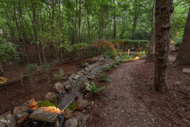 3606 Dairy Pond Pl, Durham, NC 27705 - view of yard with a view of trees