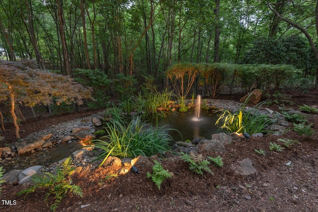 3606 Dairy Pond Pl, Durham, NC 27705 - view of yard featuring a view of trees