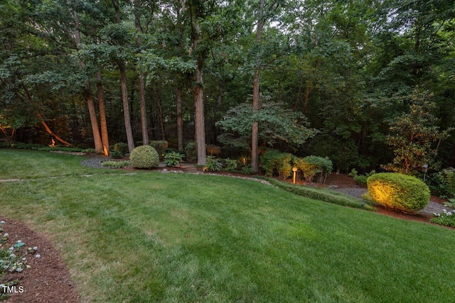 3606 Dairy Pond Pl, Durham, NC 27705 - view of grassy yard