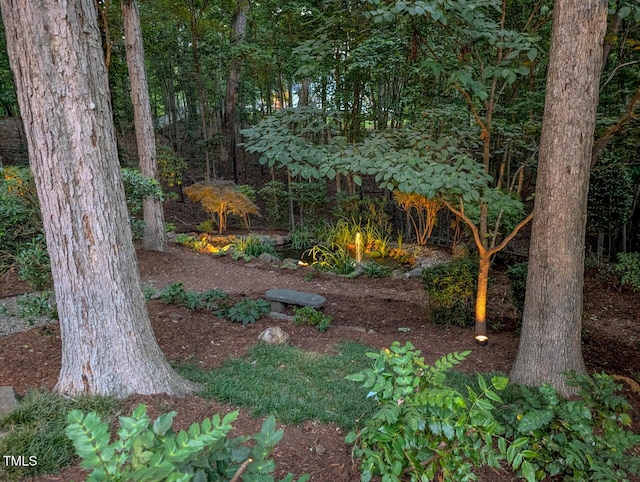 3606 Dairy Pond Pl, Durham, NC 27705 - view of yard