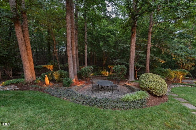 3606 Dairy Pond Pl, Durham, NC 27705 - view of grassy yard featuring a wooded view and a patio area