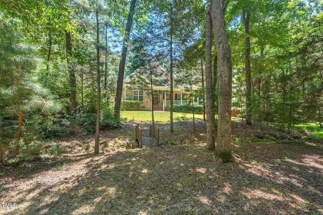 126 Captains Ct, Durham, NC 27712 - view of yard