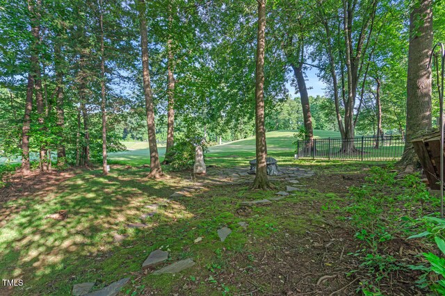 105 Walter Hagen Dr, Mebane, NC 27302 - photo 48