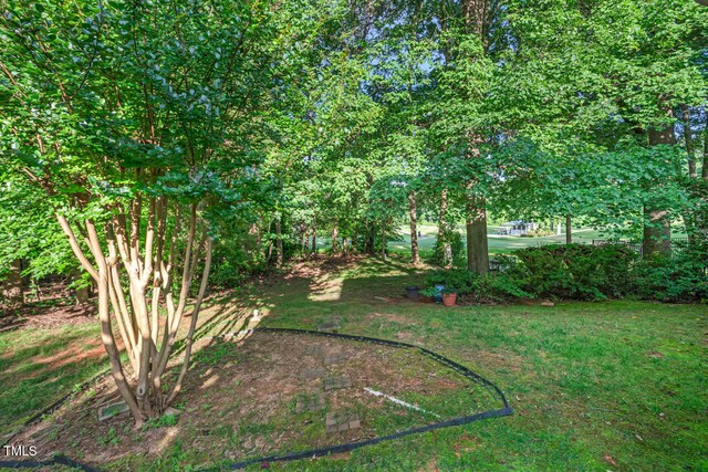 105 Walter Hagen Dr, Mebane, NC 27302 - photo 49