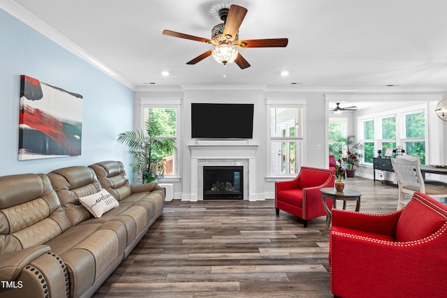 8341 Running Fern Way, Willow Springs, NC 27592 - living area featuring ceiling fan, ornamental molding, wood finished floors, a fireplace, and recessed lighting