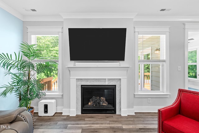 8341 Running Fern Way, Willow Springs, NC 27592 - living area with wood finished floors, a high end fireplace, and ornamental molding
