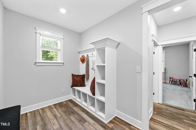 8341 Running Fern Way, Willow Springs, NC 27592 - mudroom with wood finished floors and recessed lighting