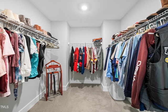 8341 Running Fern Way, Willow Springs, NC 27592 - walk in closet with carpet