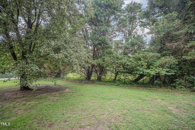200 Old Spring Hill Ln, Fuquay Varina, NC 27526 - view of grassy yard