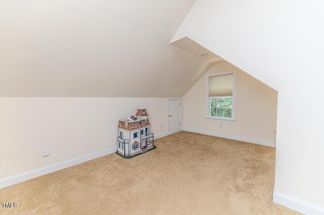 26 Shadymont Dr, Pittsboro, NC 27312 - photo 39