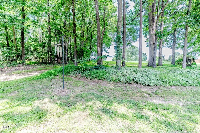 26 Shadymont Dr, Pittsboro, NC 27312 - photo 45