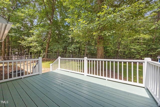 18 Indian Pipe Trl, Bahama, NC 27503 - photo 26