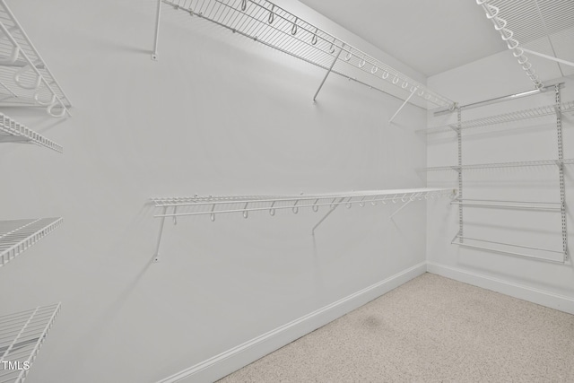 18 Indian Pipe Trl, Bahama, NC 27503 - photo 39
