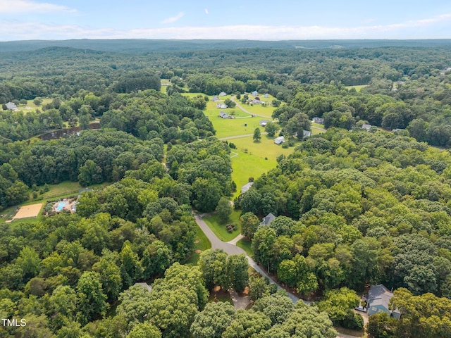 18 Indian Pipe Trl, Bahama, NC 27503 - photo 52