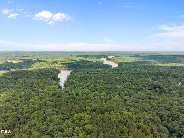 18 Indian Pipe Trl, Bahama, NC 27503 - photo 53