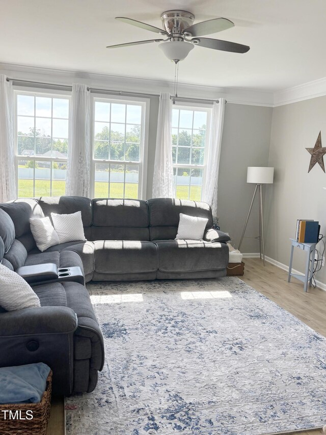 644 Wall Rd, Wendell, NC 27591 - living room with ornamental molding, a ceiling fan, and wood finished floors