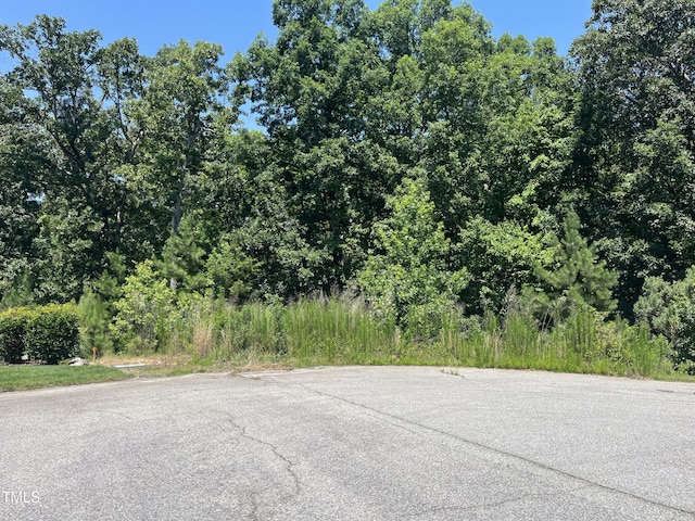 90 Isabella Ct, Clayton, NC 27527