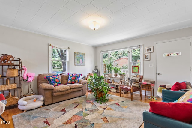 302 Bradley St, Burlington, NC 27215 - living area featuring ornamental molding and wood finished floors