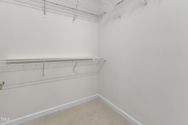 4622 Ludwell Branch Ct, Raleigh, NC 27612 - walk in closet featuring carpet