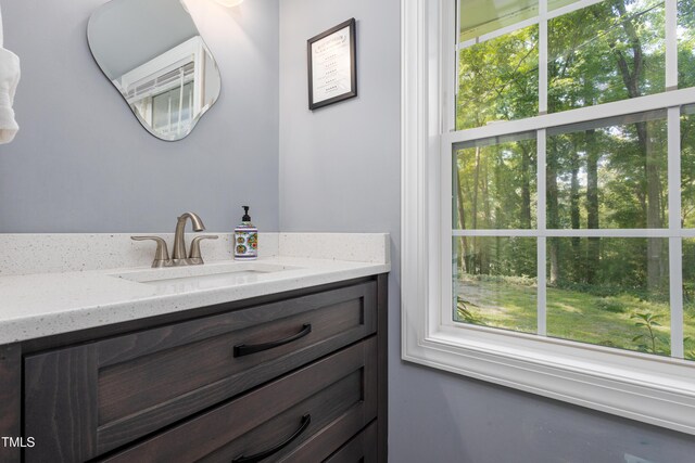 256 Marilyn Cir, Cary, NC 27513 - bathroom with vanity and healthy amount of natural light