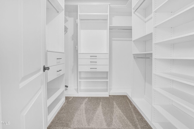 1505 Willow Landing Way, Willow Springs, NC 27592 - walk in closet featuring carpet floors