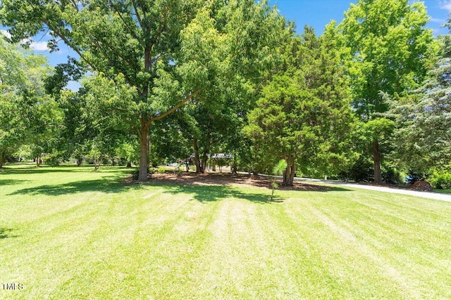 3213 Mid Pines Rd, Raleigh, NC 27606 - view of grassy yard