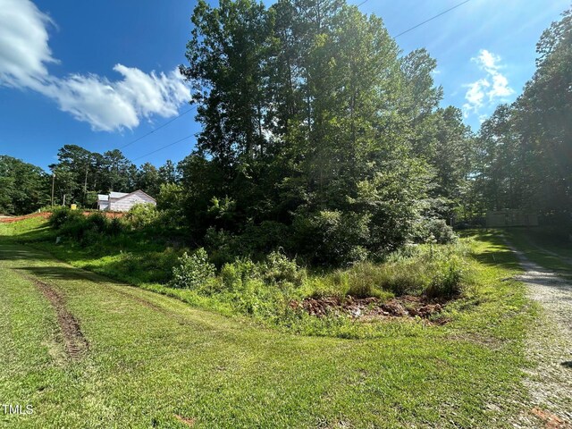 316 Shawnee Dr, Louisburg, NC 27549 - photo 10