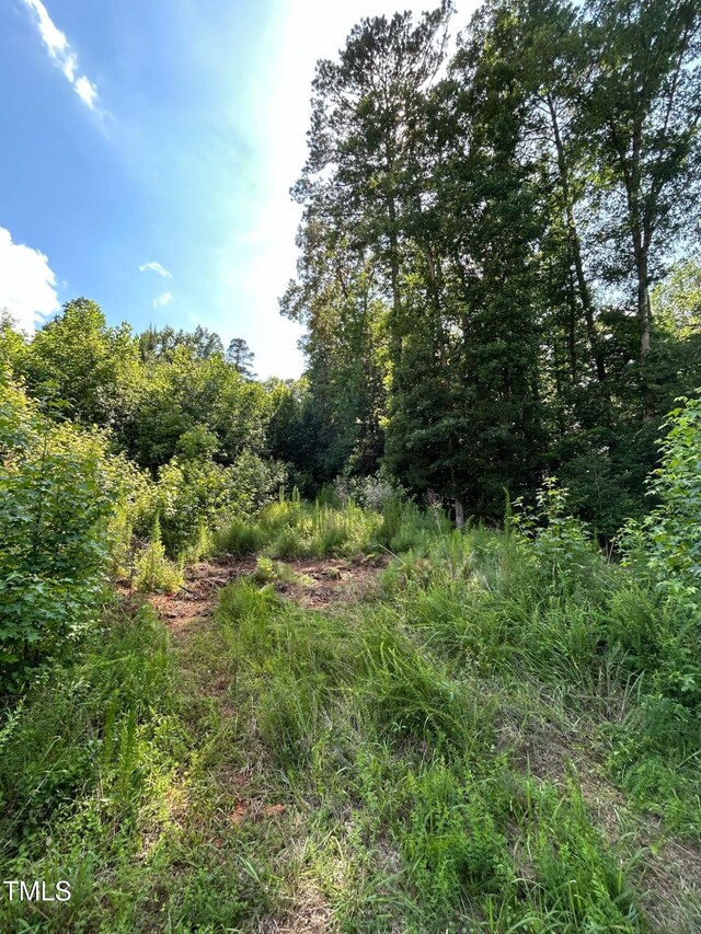 316 Shawnee Dr, Louisburg, NC 27549 - photo 11