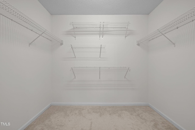 110 Bonhill Ct, Apex, NC 27502 - walk in closet with carpet flooring