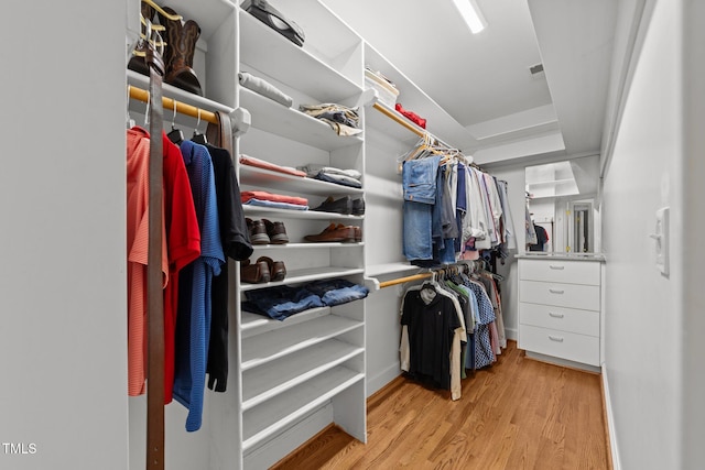 1105 Tazwell Pl, Raleigh, NC 27612 - spacious closet with light wood-type flooring
