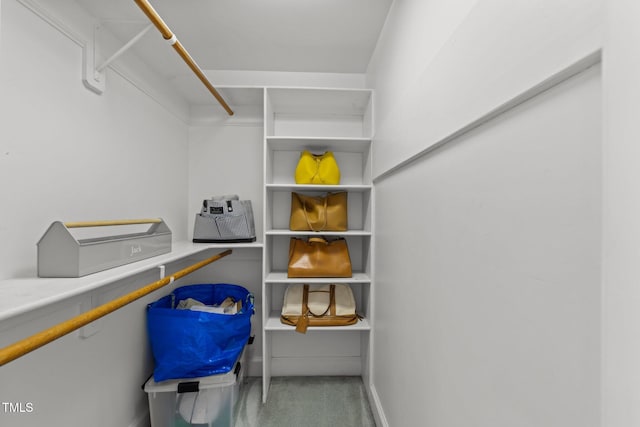1105 Tazwell Pl, Raleigh, NC 27612 - view of walk in closet