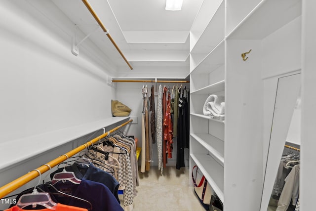 1105 Tazwell Pl, Raleigh, NC 27612 - spacious closet featuring carpet flooring