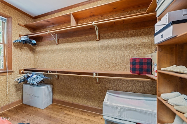 1105 Tazwell Pl, Raleigh, NC 27612 - walk in closet with light wood-style floors