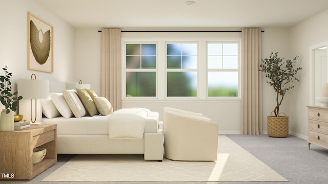 949 Cassa Clubhouse Way, Knightdale, NC 27545 - bedroom featuring light colored carpet and baseboards